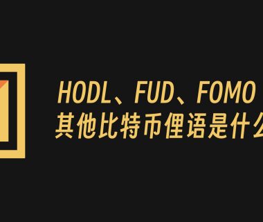 HODL、FUD、FOMO 等其他比特币俚语是什么意思？缩略图