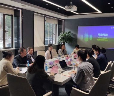 上海市浦东新区人大常委会党组副书记、副主任刘宇青一行莅临零数科技调研指导缩略图