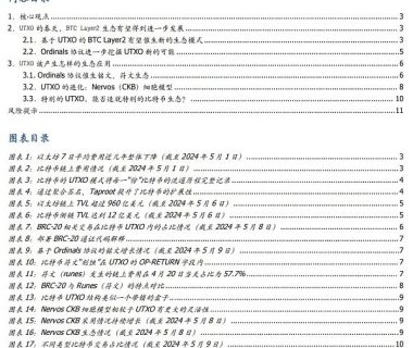 UTXO：比特币生态不一样的期待缩略图
