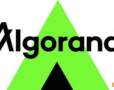 打造RWA第一公链？解读Algorand的复兴之路缩略图