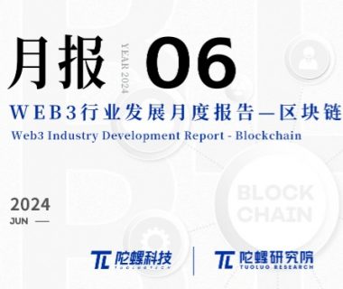 2024年6月Web3行业月度发展报告区块链篇 |陀螺研究院缩略图