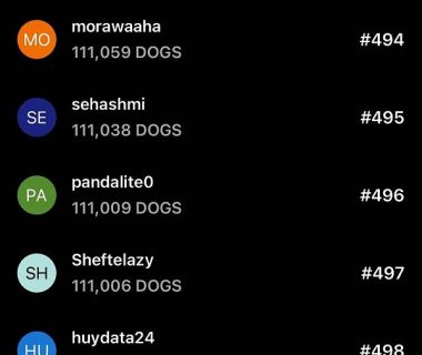 两天订阅人数破250万：DOGS 空投却可能不值一顿猪脚饭缩略图
