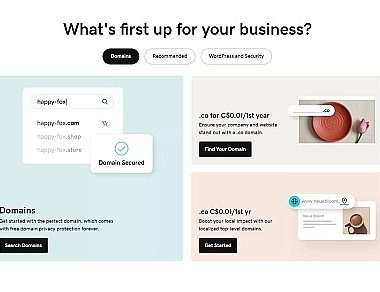 ENS与GoDaddy展开合作 Web3域名注册赛道即将成为风口？缩略图