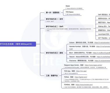 抓住早期红利 小白玩转TON生态必读攻略缩略图