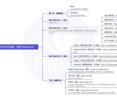 必读攻略：玩转TON生态，抓住早期红利缩略图