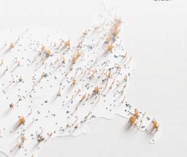 美国BTC持有现状：年轻男性为主力，持有者多为温和派缩略图