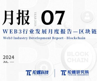2024年7月Web3行业月度发展报告区块链篇 |陀螺研究院缩略图